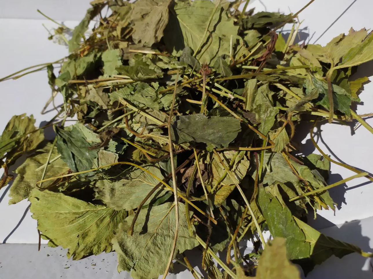 Liść Truskawski 100g ZP