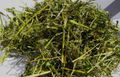 Lucerna 100g ZP