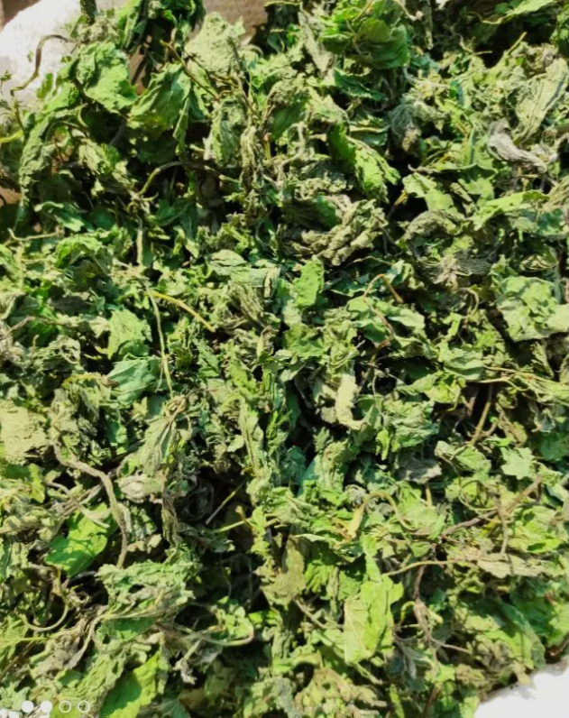 Pokrzywa 100g ZP