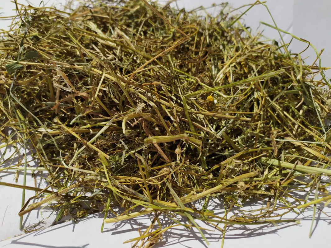 Rumianek Ziele 100g ZP
