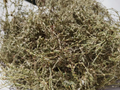Rdest Ptasi 100g ZP