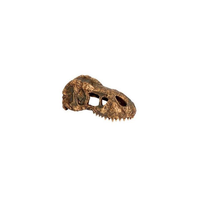 EXO TERRA T-Rex skull (czaszka dinozaura)