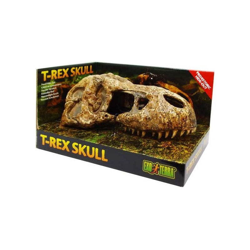 EXO TERRA T-Rex skull (czaszka dinozaura)