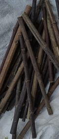 Łodygi Topinamburu 100g ZP