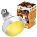 Repti-Zoo Intense Basking Spot 100W - żarówka grzewcza