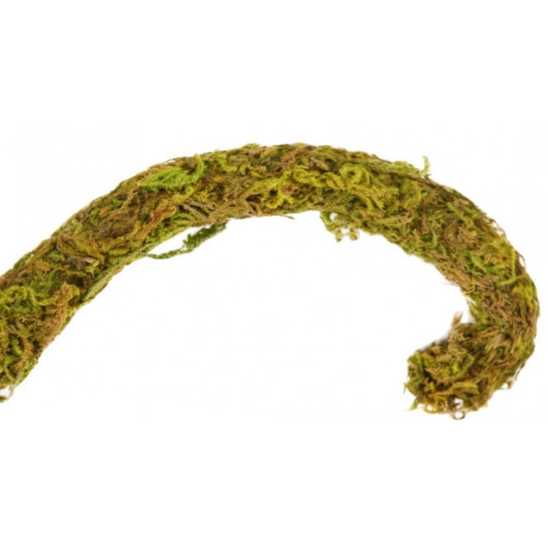 Repti-Zoo Liana z naturalnym mchem 1,5cm x 2m