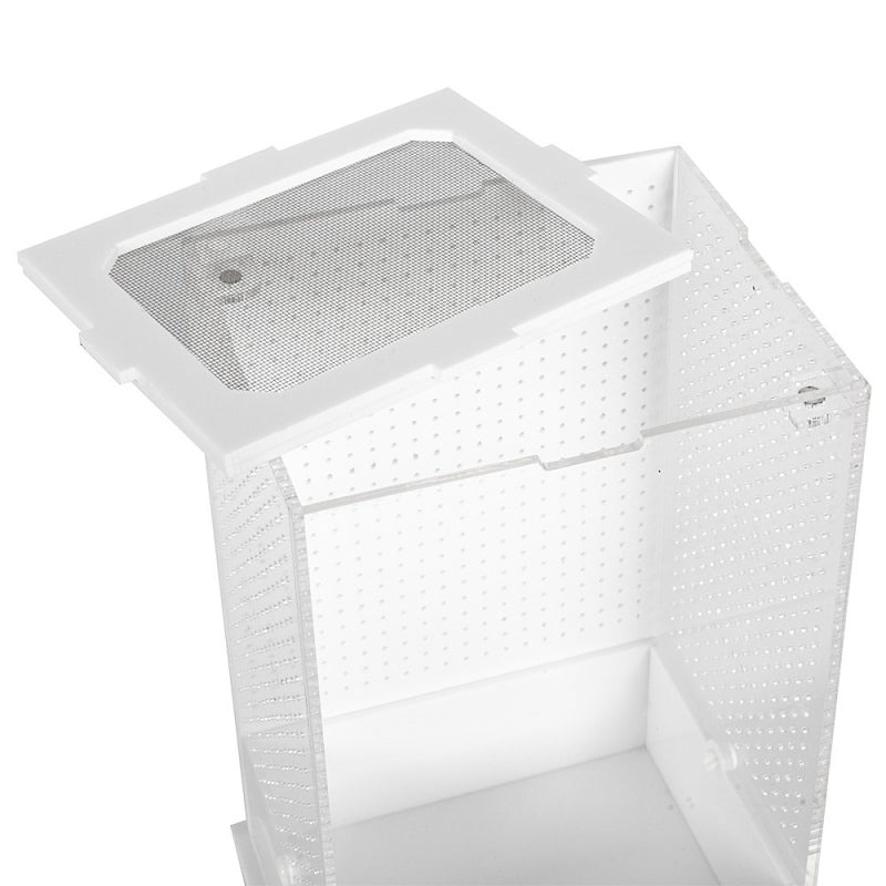 Repti-Zoo Mantis Box M - terrarium akrylowe dla modliszek