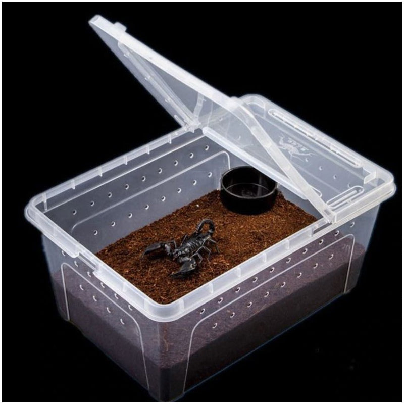 Terrario Terrarium Faunarium 33x22x15cm