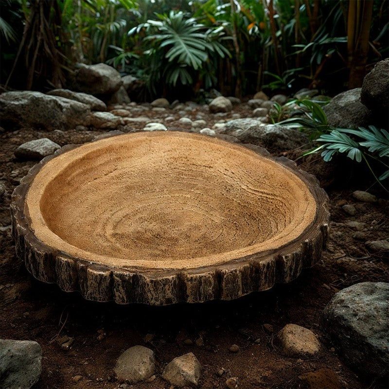 Terrario Tree Ring Bowl M – Miska do Terrarium 12x11x1,5 cm
